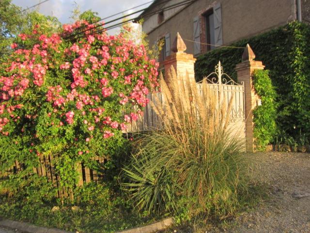 La Demeure De La Coste Bed and Breakfast Vieux  Eksteriør billede